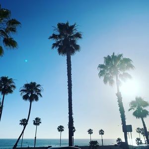 Meet your Posher, Dusti